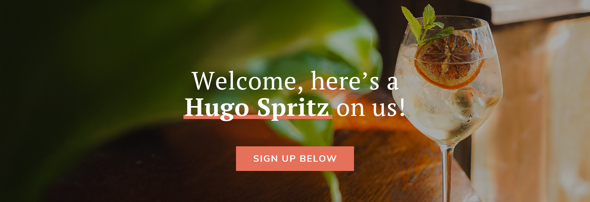 Sign up to the newsletter at The Junction